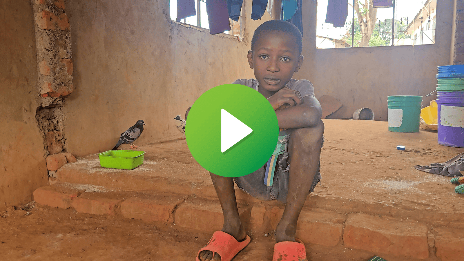 Growing Resilience And Opportunity Through Agroforestry Training